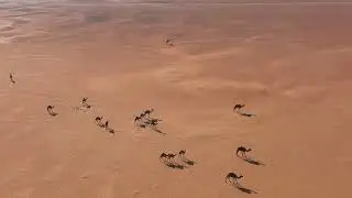 The Most Surreal Desert Landscapes 4k   Deep Relaxing Film