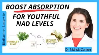 Boost Quercetin &ndash; Apigenin Absorption to address Inflammation & Fatigue with Dr. Nichola Conlon