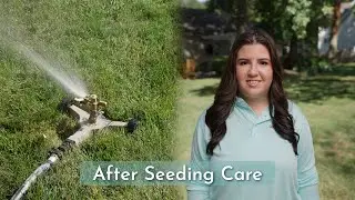Watering Schedule After Overseeding Your Lawn | A Step-by-Step Guide