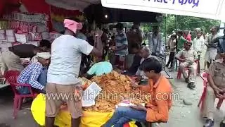 Flood Relief in Gonda - Rescue, Food, and Shelter Efforts