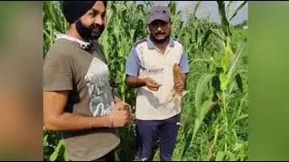 HomeYumz&trade; Vocal for local food | Team Punjab | Trip to the Maize Field | Celebrating Community