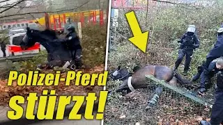 Polizei-Pferd ST&Uuml;RZT Bei Anti-AfD-Demo! Neues Video Zeigt Die Ganze WAHRHEIT! 