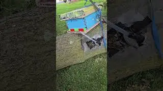 8-4 beekeeping: bee trap out  #beekeeping #missouri #beekeeper #beeyard #beeswarm #beerescue #bee