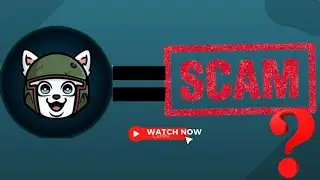 Bobatama Token Review: An Honest To God Review of Bobatama Token