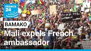 Mali expels French ambassador, Bamako gives French ambassador 72 hours to leave &bull; FRANCE 24