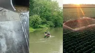 Birch Natural Assets - Leading Edge Natural Asset Management