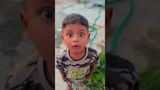 Har Har Shambhu 🥰🐈 #shorts #kk kimasti #ytshorts #trending #cutebaby #trendingshorts#cat #love