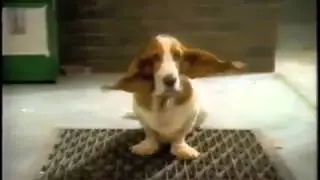 Hush Puppy Commercial