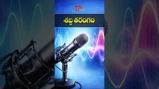 What Is a Sound Wave? 🔊 Explained Simply | శబ్ద తరంగం | Physics Basics | Tone Academy #gk