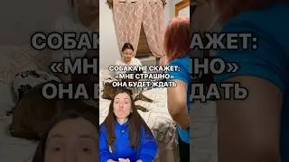 🐾 Понимать питомца &mdash; значит заботиться правильно. Бесплатные видео и гайды &mdash; ссылка в профиле
