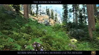SkyrimSE ~ Modded [4K] | Ultra Realistic Scenery | Culminated ENB ~ Obsidian Weathers
