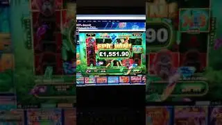 Epic Ape big win