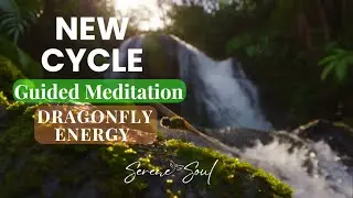 Guided Meditation for a New Cycle - Dragonfly Symbolism