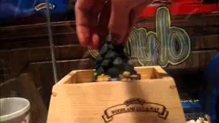 Holiday Cage Tours