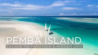 Pemba Island Paradise: A Soothing Escape to Tanzania's Hidden Gem