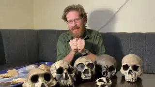 Дневник Хотылёво 2025. Серия 1. Александр Очередной. Зачем археологи копают в Хотылёво?