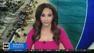 Quickcast: Busy Holiday Travel Weekend. Car Death Investigation. Dolphins Face Cowboys on Christmas.