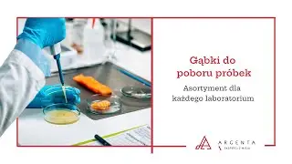 Gąbki do poboru próbek - Asortyment dla każdego laboratorium