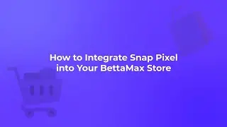 How to Integrate Snap Pixel into Your BettaMax Store: A Step-by-Step Guide
