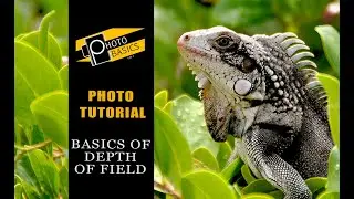 Basics of Depth Of Field - No nonsense short tutorial