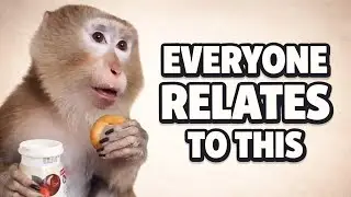 EVERYONE Relates to This 😂 | 2025 Meme Compilation