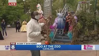 Cleveland Metroparks Zoo invites you to a new family Halloween event 'Trick or Treat Fest'