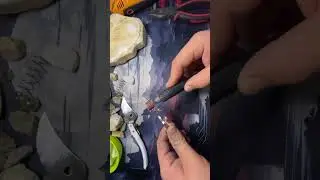 Rusty Garden Shears RESTORED to Shine ✨ | Tool Restoration, Rust Removal, DIY Fix, Garden Tools
