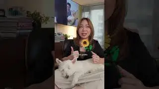 pbb collab's so good, just had to make a video about it 🤷&zwj;♀️