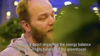 Ludvig Svensson -  Implementation Partner Plant Empowerment