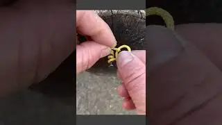 Practical rope knotting technique in action #ropeskills #knots #DIYtips #lifehacks