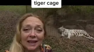 Carol baskin feeds husband to tiger