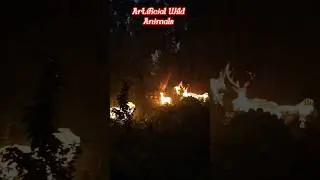 Artificial Wild Animals 🐅 #wildanimals #khusrobagh Prayagraj #statusvideo #viralvideo 🦌🤠