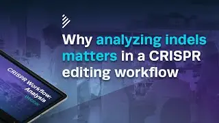 Discover How Top Researchers Analyze a CRISPR Experiment