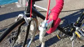 Vintage 1986 Schwinn World Sport