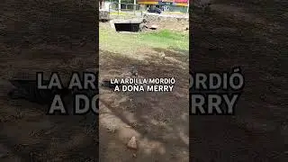 Una ARDILLA mordió a Doña Merry @LacocinadeDoñaMerry