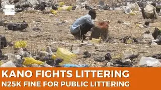NLC Suspends Protest, AI Threat Debate, and Kano&rsquo;s N25,000 Fine for Public Littering and Defecation