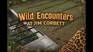 We Found Leopard Footprints at Jim Corbett 😨 | Real Jungle Encounter