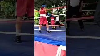 ##boxing #boxing #indianboxers #bout #pratice #sports #stadium #boxingmatch #haldwani #trail