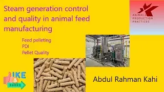 Steam generation, control and quality in animal feed manuufacturing