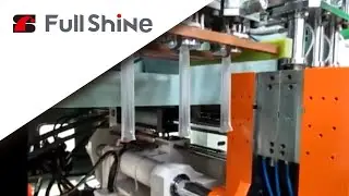 Efficient Blow Molding Machine for Plastic Bottles with FS 65HTSO - Full Shine