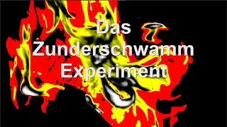 Zunderschwamm Experiment - Feuer machen mit frischem Baumpilz, Flint u. Pyrit ...GEHT DAS &Uuml;BERHAUPT?
