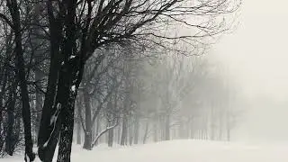 Winter Wind ASMR ❄️ | Snow Storm Sounds for Deep Sleep & Relaxation (No Talking)