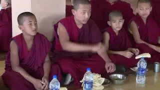 2016 sera je school
