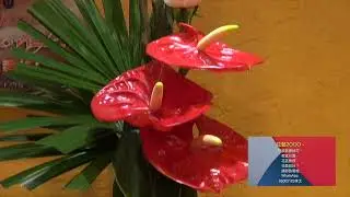 Flower Arrangement by Gordon Lee RR-03