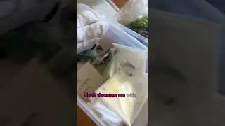 How I Stage a Home