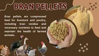 High-Quality Animal Feed Export from Vietnam | Top Supplier for Livestock Nutrition