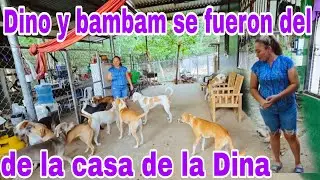 Muy mal se encuentra Dina por Dino y bambam se fueron de la casa😱😳