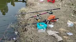 Rod fishing 🎣 The people enjoy fishing by rod 👍