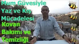 Arıcılıkta Mum Güvesi ve Mücadele Yöntemleri