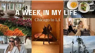 WEEKLY VLOG | travel prep, home errands, week in LA, showroom visits, beach walks 